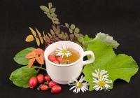 Чаи и травяные сборы для здоровья